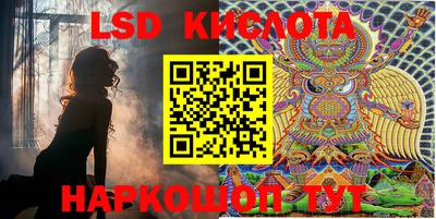 эйфоретик Кингисепп