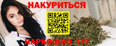 эйфоретик Кингисепп