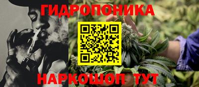 ПСИЛОЦИБИНОВЫЕ ГРИБЫ Кимры