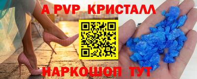 эйфоретик Кингисепп