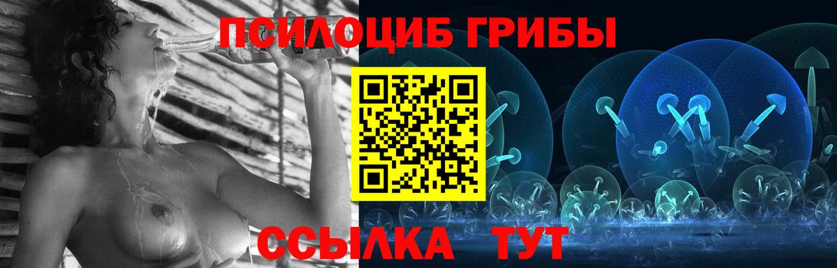 Галлюциногенные грибы мухоморы Черногорск