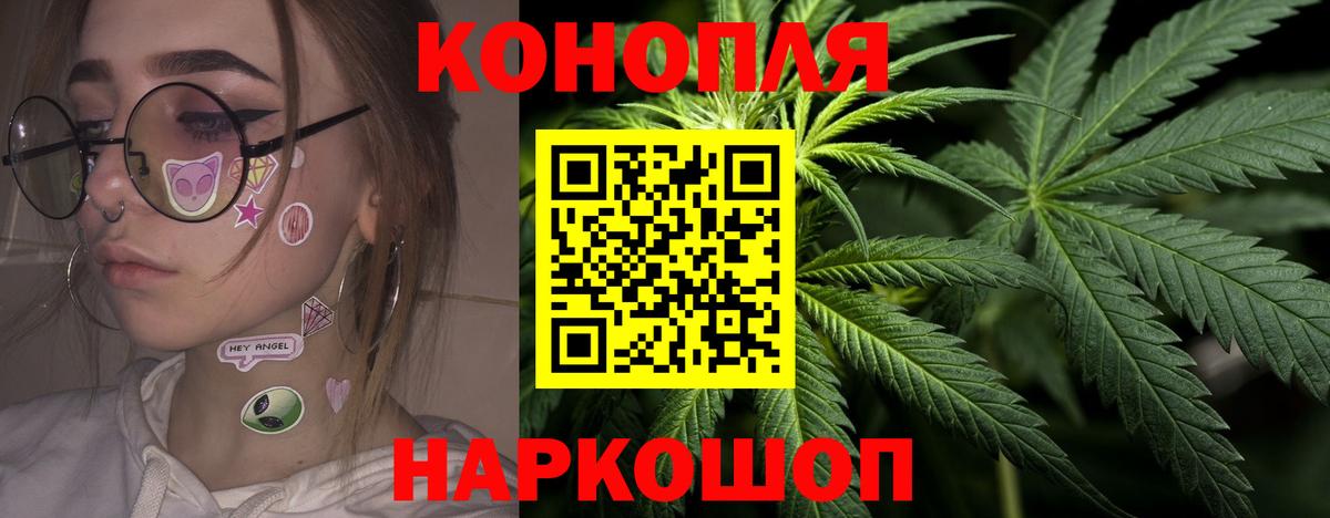 Черногорск  Шишки марихуана планчик  Вход с VPN  Бошки марихуана LSD WEED  Каннабис гибрид 